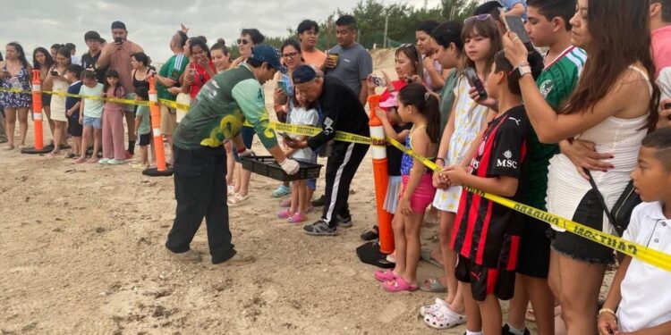 Viven familias la primera liberación pública de tortuga lora en La Pesca