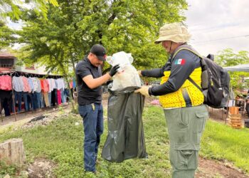 Activa SEDUMA brigadas ciudadanas de limpieza durante Semana Ambiental