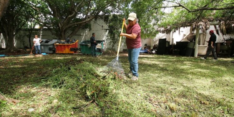 Activa SEDUMA brigadas ciudadanas de limpieza durante Semana Ambiental