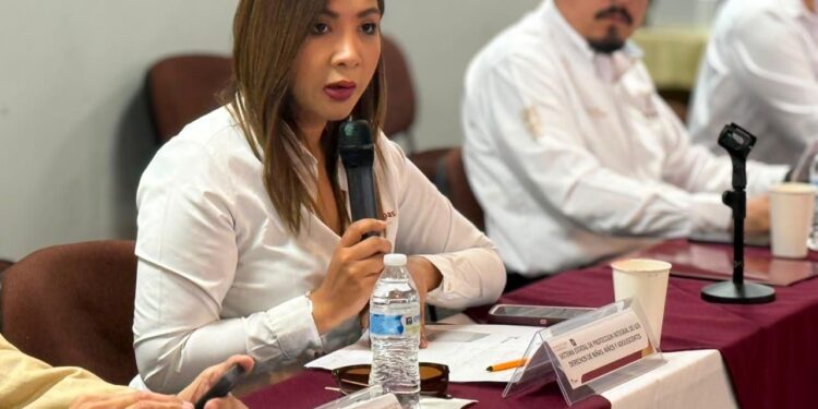 Realizan sesión de la Comisión Intersecretarial para fortalecer acciones contra el trabajo infantil en Tamaulipas