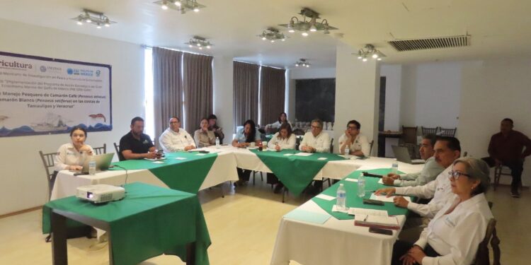 Impulsa Tamaulipas acciones estratégicas para la pesca sustentable del camarón