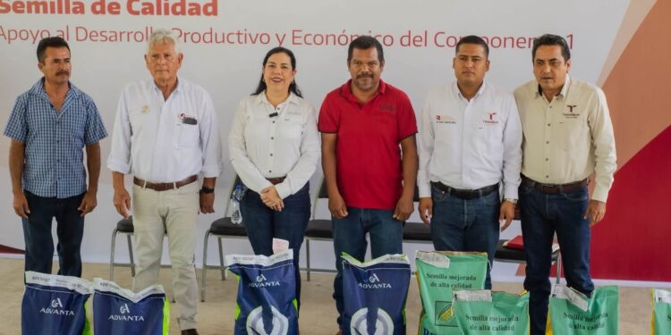 Fortalece Tamaulipas la producción agrícola con apoyos de semilla certificada