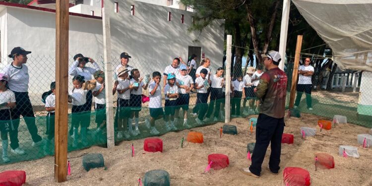 Fortalece Tamaulipas educación ambiental mediante liberación de crías de tortuga lora