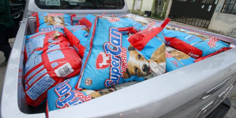 Transforma Reciclatón 2026 el compromiso ciudadano en apoyo para el bienestar animal