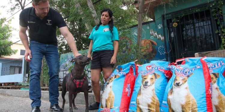 Transforma Reciclatón 2026 el compromiso ciudadano en apoyo para el bienestar animal