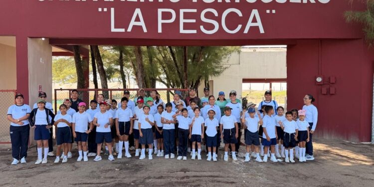 Fortalece Tamaulipas educación ambiental mediante liberación de crías de tortuga lora
