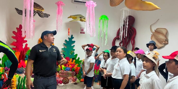 Fortalece Tamaulipas educación ambiental mediante liberación de crías de tortuga lora
