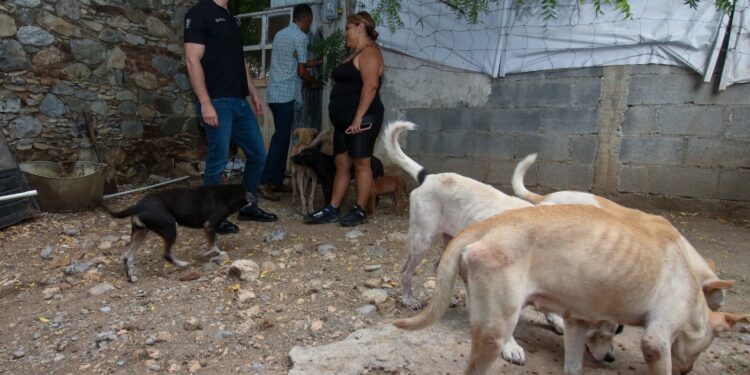 Transforma Reciclatón 2026 el compromiso ciudadano en apoyo para el bienestar animal