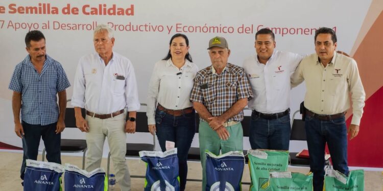 Fortalece Tamaulipas la producción agrícola con apoyos de semilla certificada