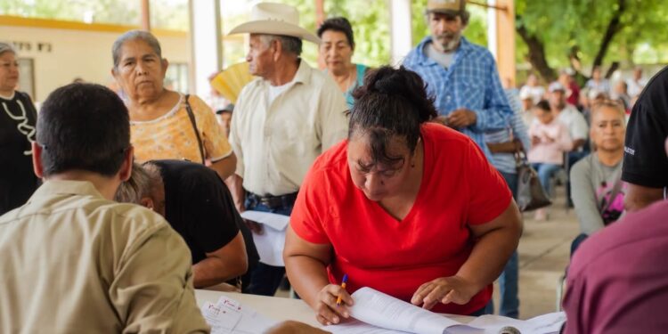Fortalece Tamaulipas la producción agrícola con apoyos de semilla certificada