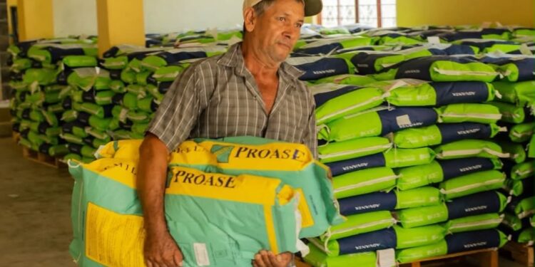 Fortalece Tamaulipas la producción agrícola con apoyos de semilla certificada