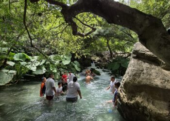 Ofrece Tamaulipas una gran variedad de destinos de naturaleza al visitante: Turismo