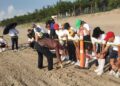 Fortalece Tamaulipas educación ambiental mediante liberación de crías de tortuga lora