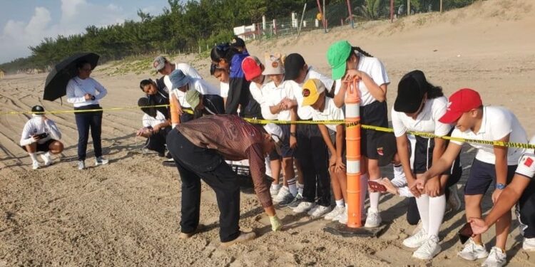Fortalece Tamaulipas educación ambiental mediante liberación de crías de tortuga lora