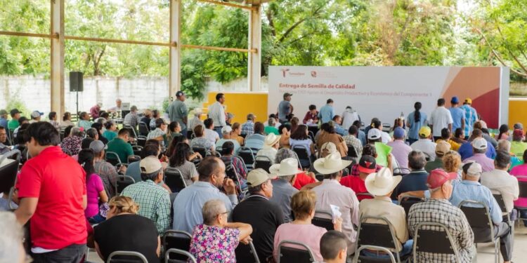 Fortalece Tamaulipas la producción agrícola con apoyos de semilla certificada
