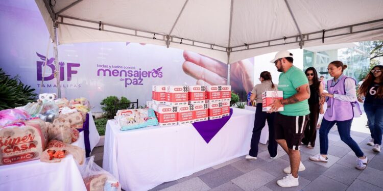 DIF Tamaulipas abre centro de acopio para apoyar a familias afectadas por los sismos en Venezuela