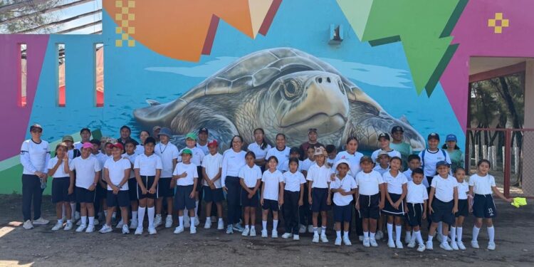 Fortalece Tamaulipas educación ambiental mediante liberación de crías de tortuga lora