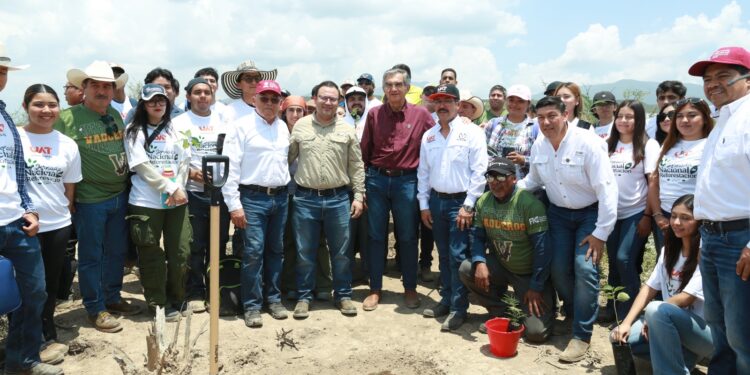 Tamaulipas participa en Jornada Nacional de Reforestación; se plantarán 15 mil árboles: Américo