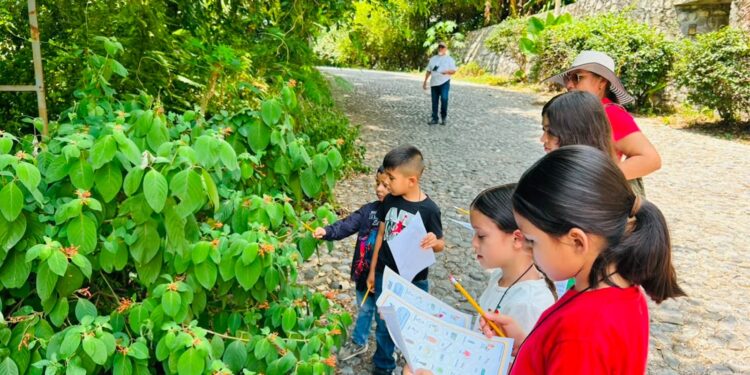 Fortalece Tamaulipas conservación de la Mariposa Monarca con participación en el Blitz Monarca 2026