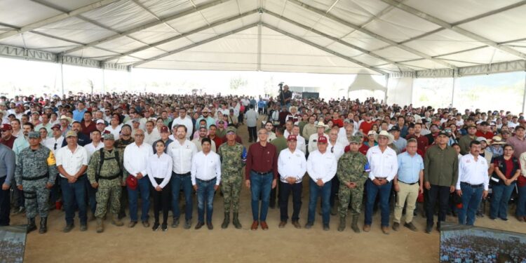 Tamaulipas participa en Jornada Nacional de Reforestación; se plantarán 15 mil árboles: Américo