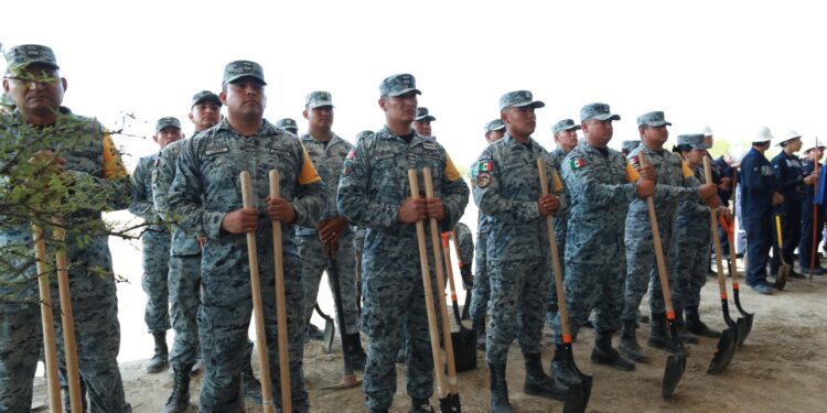 Tamaulipas participa en Jornada Nacional de Reforestación; se plantarán 15 mil árboles: Américo