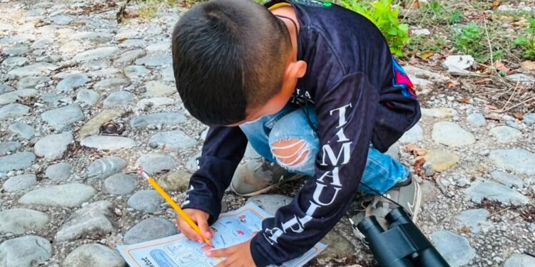Fortalece Tamaulipas conservación de la Mariposa Monarca con participación en el Blitz Monarca 2026