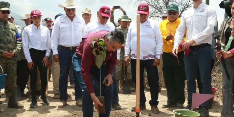 Tamaulipas participa en Jornada Nacional de Reforestación; se plantarán 15 mil árboles: Américo