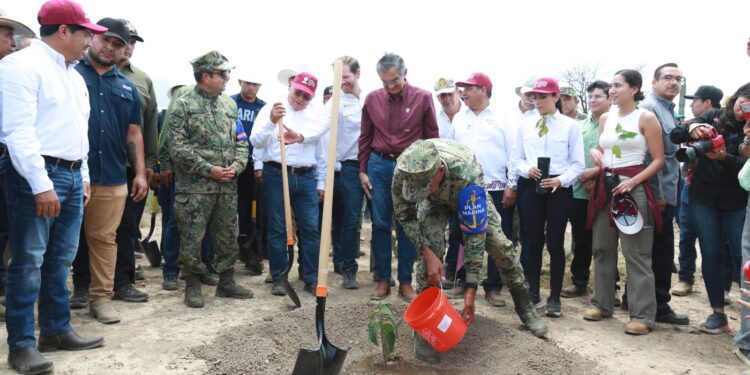 Tamaulipas participa en Jornada Nacional de Reforestación; se plantarán 15 mil árboles: Américo