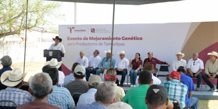 Acerca Tamaulipas ejemplares de alta calidad genética a ganaderos de El Mante