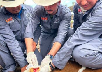 Refuerza la UAT brigadas de contención frente al gusano barrenador en Tamaulipas