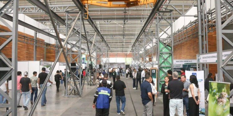 Posiciona Tamaulipas su experiencia ambiental en el México Carbon Forum 2026