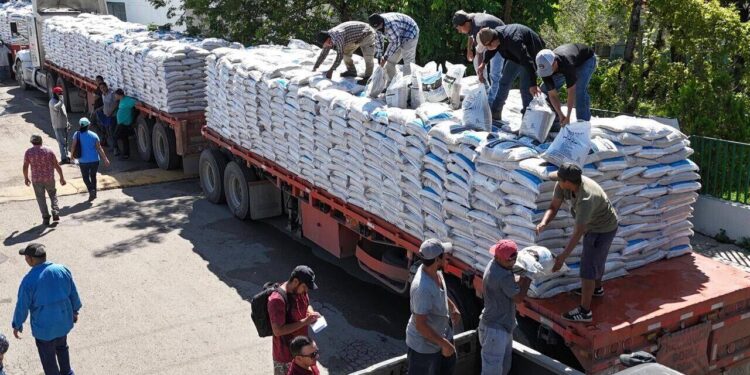 Respalda Gobierno de Tamaulipas a productores citrícolas de la región centro