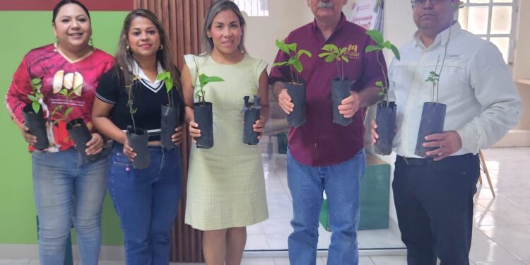 Reforestación y creación de un huerto urbano unen comunidades para prevenir el delito en Reynosa y Matamoros