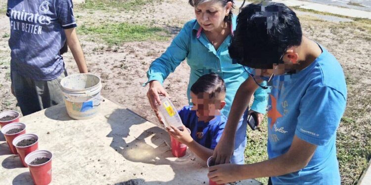 Reforestación y creación de un huerto urbano unen comunidades para prevenir el delito en Reynosa y Matamoros