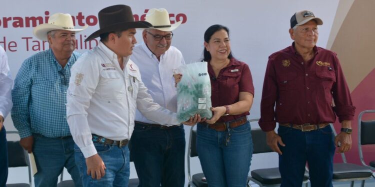 Acerca Tamaulipas ejemplares de alta calidad genética a ganaderos de El Mante