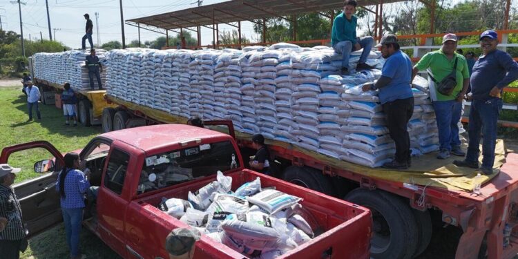 Respalda Gobierno de Tamaulipas a productores citrícolas de la región centro