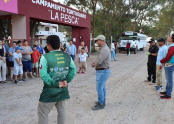 Reciben educación ambiental y conservación de especies niñas, niños y familias en el Campamento Tortuguero de La Pesca