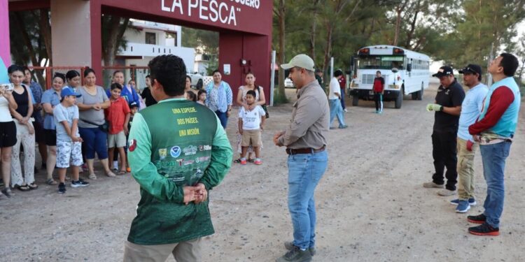 Reciben educación ambiental y conservación de especies niñas, niños y familias en el Campamento Tortuguero de La Pesca