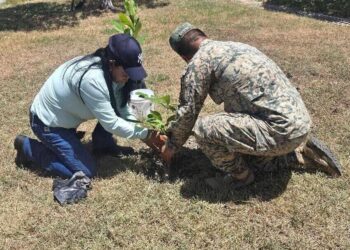 Gobierno de Tamaulipas y SEDENA promueven espacios verdes y sustentables en El Mante