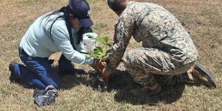 Gobierno de Tamaulipas y SEDENA promueven espacios verdes y sustentables en El Mante