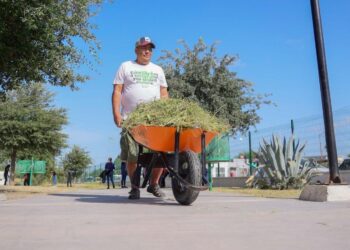 Genera Gobierno de Tamaulipas acciones de transformación a través del Programa Impulsando tu Bienestar