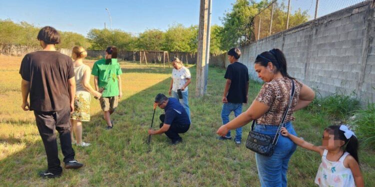 Reforestación y creación de un huerto urbano unen comunidades para prevenir el delito en Reynosa y Matamoros