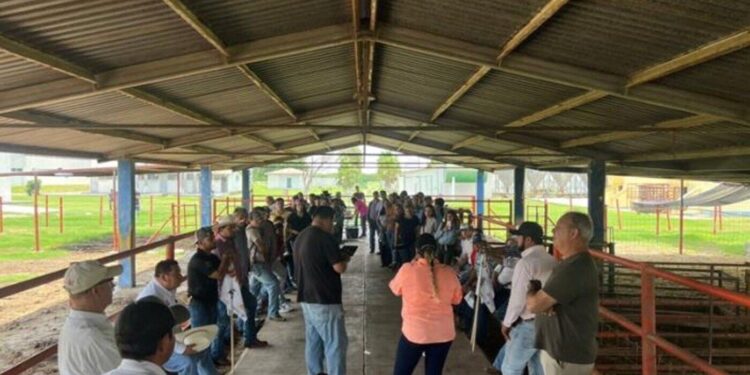 Refuerza la UAT brigadas de contención frente al gusano barrenador en Tamaulipas