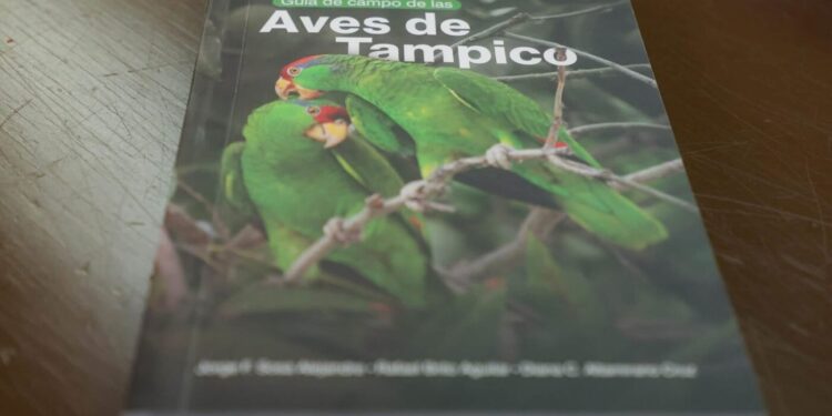 Colmenas Creativas refuerza el turismo de reuniones de Tamaulipas: Sectur