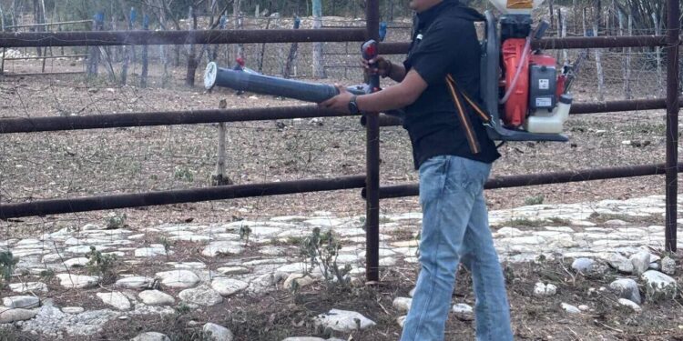 Intensifica Tamaulipas acciones de control en predios afectados por gusano barrenador
