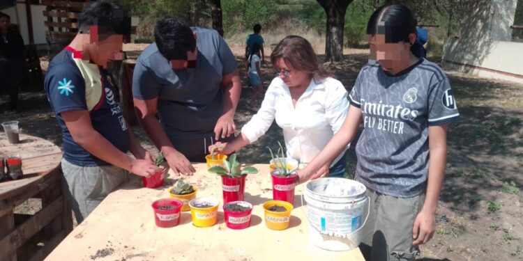 Reforestación y creación de un huerto urbano unen comunidades para prevenir el delito en Reynosa y Matamoros