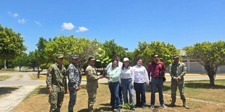 Gobierno de Tamaulipas y SEDENA promueven espacios verdes y sustentables en El Mante