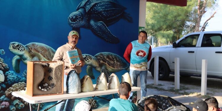 Reciben educación ambiental y conservación de especies niñas, niños y familias en el Campamento Tortuguero de La Pesca