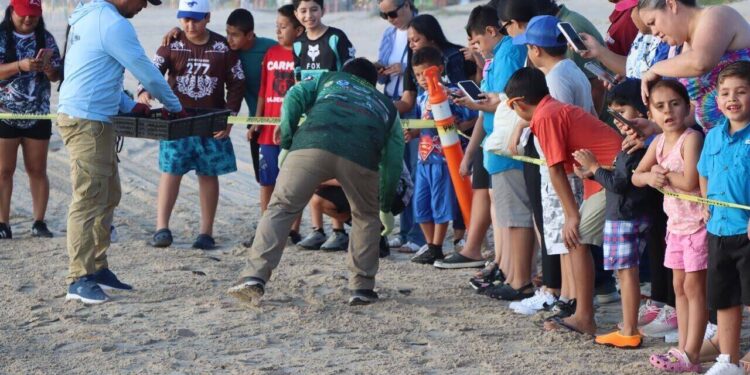 Reciben educación ambiental y conservación de especies niñas, niños y familias en el Campamento Tortuguero de La Pesca