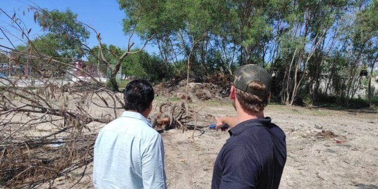 Avanza SEDUMA en trituración de llantas para reducir la contaminación en Reynosa